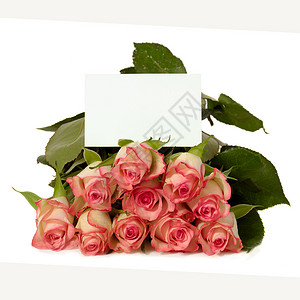 带礼品卡的玫瑰 花瓣 宏观 婚礼 卡片 周年纪念日 花朵 美丽背景图片