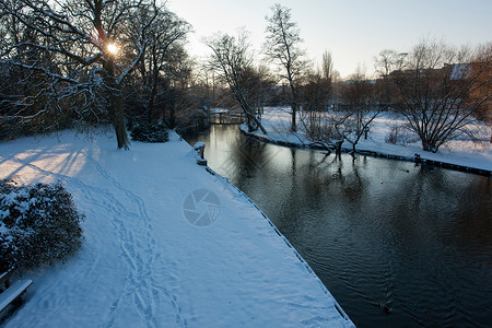 丹麦冬季冬天的城市公园 鸭子 霜 雪 美丽 河背景