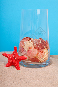 红海星和玻璃壳背景图片