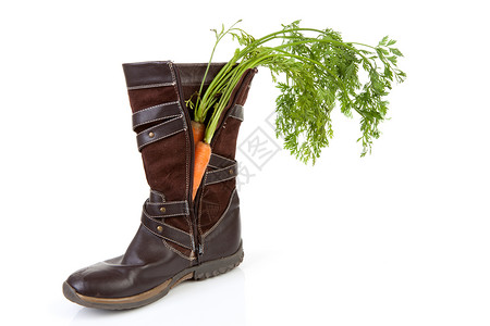 土豆传统 胡萝卜鞋背景图片