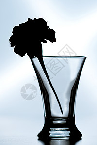 玻璃杯中花朵的光影背景图片