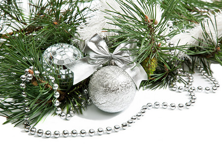 带银球 珠珠和丝带的圣诞树枝图片
