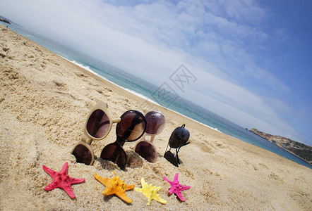 海洋和海滩 海岸 乐趣 朋友们 日光浴 太阳 假期 配饰 幽默图片