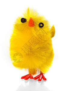 东风鸡鸡 有趣的 动物 黄色的 装饰风格 可爱的 假期 春天背景图片
