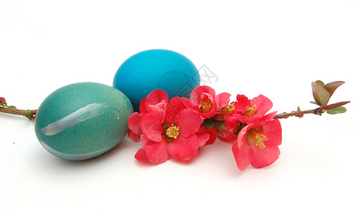 复活蛋 动物蛋 蓝色的 季节 画 复活节彩蛋 传统文化 夏天 摄影背景图片