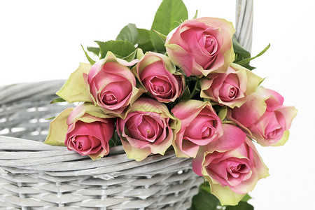 篮子中的玫瑰 丝带 花的 浪漫 艺术 礼物 花背景图片