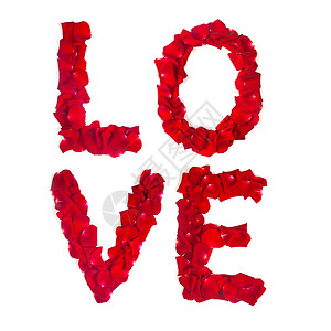 为爱而购字体玫瑰花瓣的爱 孤立在白色上 瓦伦丁 亲爱的 自然背景
