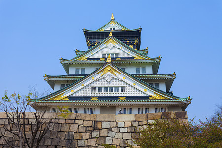 东京高野城堡日本名古屋城堡 遗产 自然 公园 树 窗户 世界背景