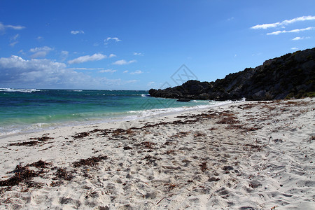 澳大利亚罗特内斯特岛 沙丘 海洋 石头 天堂 海滩高清图片