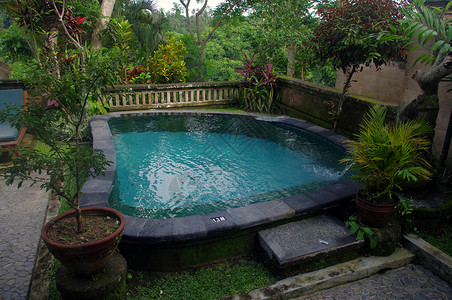 花园别墅的游泳池背景图片