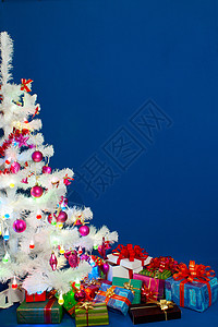 圣诞礼物堆积在白长青树下 红色的 包装 白色的 蓝色的背景图片