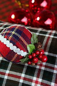 圣诞节装饰舞会 苏格兰式 纺织品 羊毛 格子背景图片