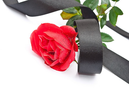 红玫瑰带黑丝带 装饰品 红色的 前夕 水 优雅 展示背景图片