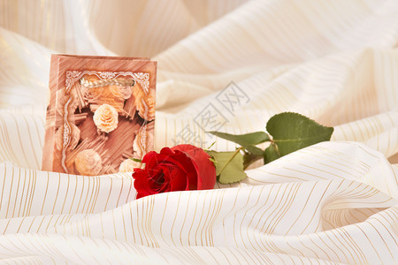 红玫瑰 爱 婚礼 花 庆典 假期 白色的 珠宝背景图片
