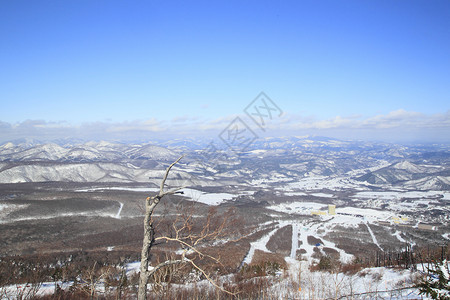 滑雪运行 季节 雪花 八幡平 岩手县 天空 寒冷的 自然图片