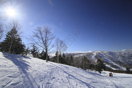 滑雪运行 岩手县 雪花 冬天 日本 阳光 八幡平 东北地区图片
