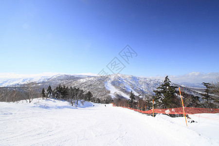 滑雪运行 自然 粉雪 雪原 八幡平 阳光 日本 寒冷的 冬天图片