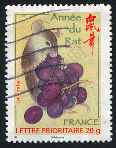 鼠邮票法国 明信片 葡萄 8年 产品 装饰品 邮资 历史性 集邮背景