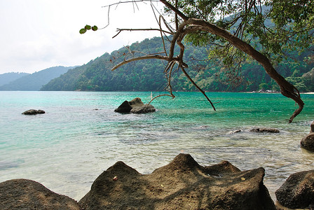 泰国的素林岛国家公园 浪漫 美丽 浪漫的 自然 海滩图片
