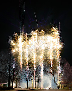 公园中的烟花 假期 星星 树木 庆典 乐趣 焰火 黄色的背景图片