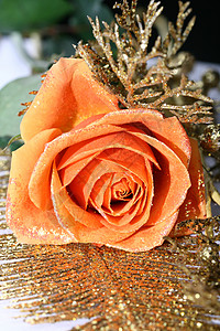 橙色玫瑰 配金装饰 玩具 枝条 花 装饰品 优雅 季节图片