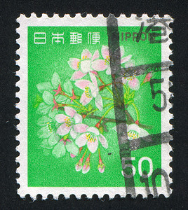 日本投降了樱花 邮件 树叶 老了 古董 邮资 樱桃背景