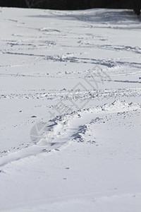 滑雪运行 滑雪胜地 岩手县 滑雪道 冰 自然 冬天 日本 八幡平图片