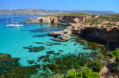 马耳他科米诺的蓝色环礁-马耳他 岛 阳光 支撑高清图片