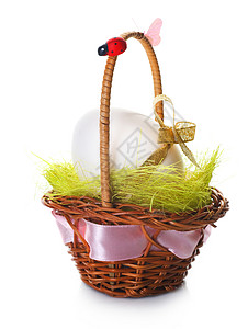 复活蛋 吃 弓 礼物 展示 宗教 花园 自然 丝带背景图片