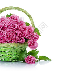 篮子里的玫瑰 新娘 花朵 花 盛开 假期 纹理 自然图片