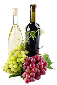 红酒和白酒 再加上葡萄 浪漫的 场景 收成 藤蔓 螺旋背景图片
