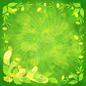 绿色的叶叶 花和羽毛 圆圈 艺术 花瓣 曲线 草图片