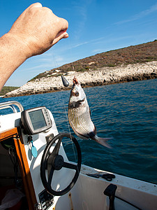 鱼钩上的鱼 乐趣 钓鱼 垂钓者 天空 手 水 渔夫 支撑图片