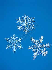 雪花 冬天 假期 季节 闪光 庆典 前夕 闪亮的 白色的背景图片