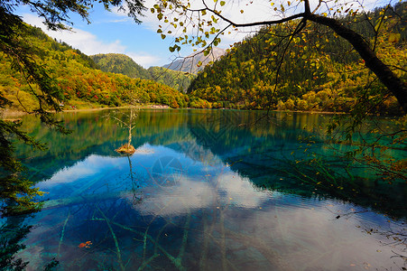 中国的森林和湖泊地貌 吉扎海古 九寨沟 九寨 游客背景图片