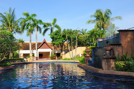 旅馆游泳池 花园 热带 植物 建筑学 别墅 塔 水平的背景图片
