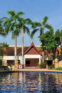 旅馆游泳池 房子 泰国 酒店 奢华 大堂 水池背景图片