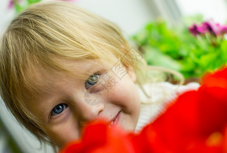 红色郁金香的美丽婴儿 花朵 花 童年 快乐高清图片