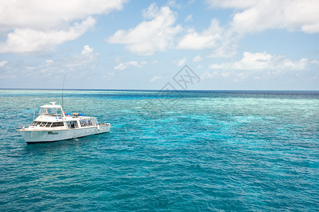 蓝色潜水艇从大堡礁下潜的潜水艇背景