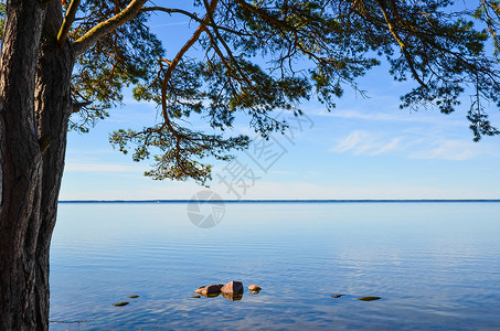 沿海平静风景图片