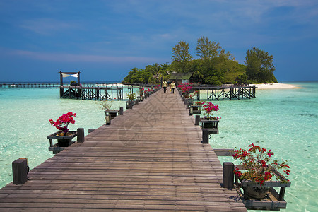 婆罗洲岛斯里兰卡岛 餐厅 夏天 海 沙巴 清除 建筑 海岸 水背景