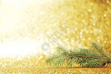 新年贺卡 绿色的 闪亮的 卡片 金的 松树 庆典 黄色的背景图片