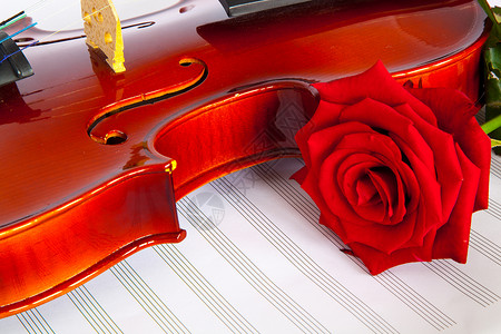 玫瑰 音乐 情人节 庆祝活动 叶子 浪漫 美丽 古典 细绳图片