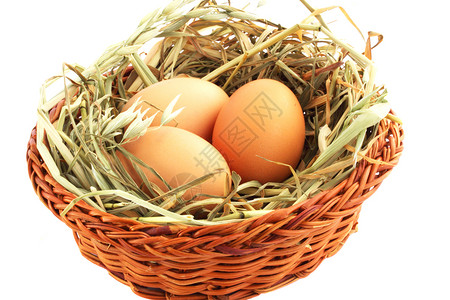 鸡蛋在篮子里 食物 橙子 草 绿色的 鸟 春天 假期背景图片