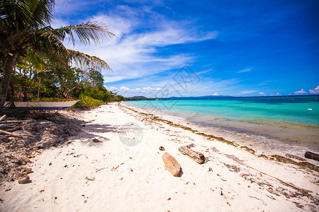 配有绿绿水和白沙滩的完美热带海滩 日落 丛林高清图片