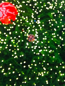 Bokeh 模糊脱离焦点背景的圣诞fir树 团体 老的背景图片