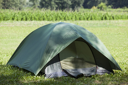帐篷 草 夏天 自然 森林 旅游目的地 绿色的背景图片