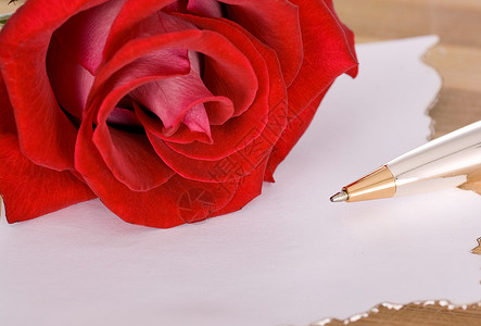 玫瑰和笔 花瓣 花 情人节 浪漫 浪漫的 纸背景图片