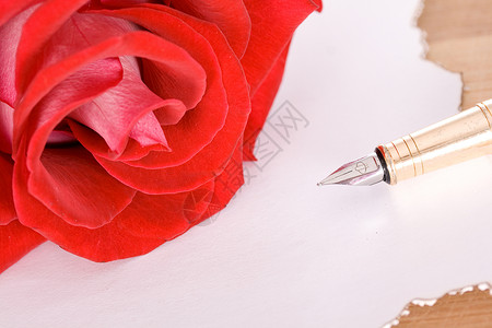 玫瑰和笔 情人节 热情 纸 花 粉色的 爱背景图片