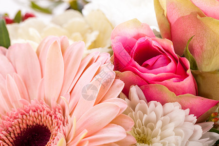 新鲜粉红白花花花 花束 植物群 庆祝 夏天 假期 开花图片